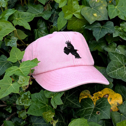Chough Embroidered Baseball Cap
