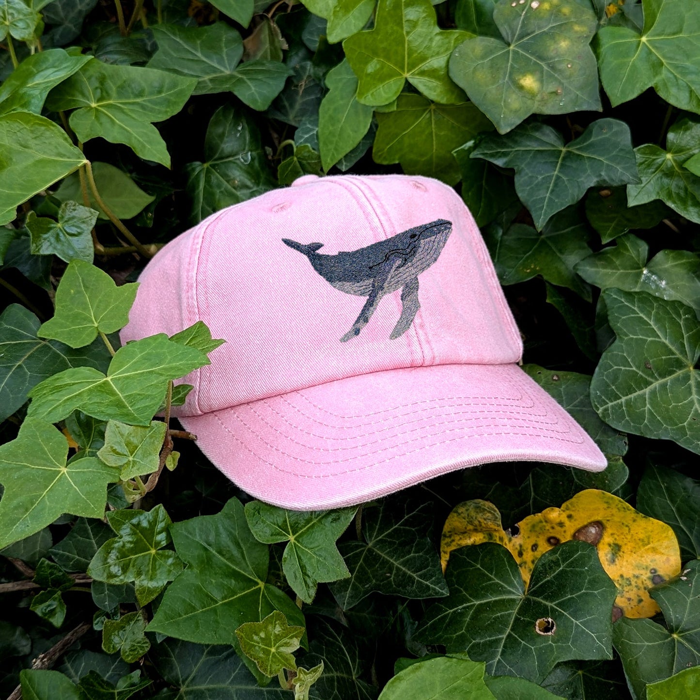 Humpback Whale Embroidered Baseball Cap