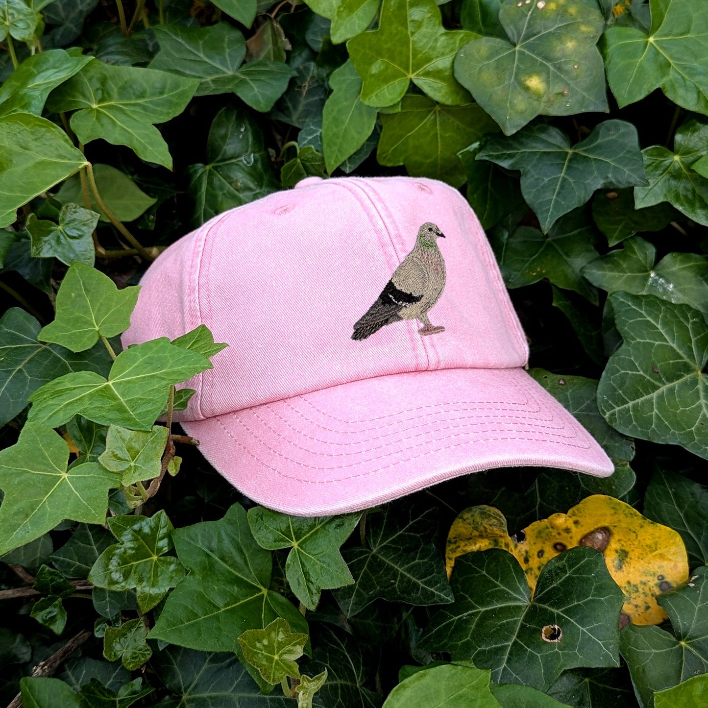 Pigeon Embroidered Baseball Cap