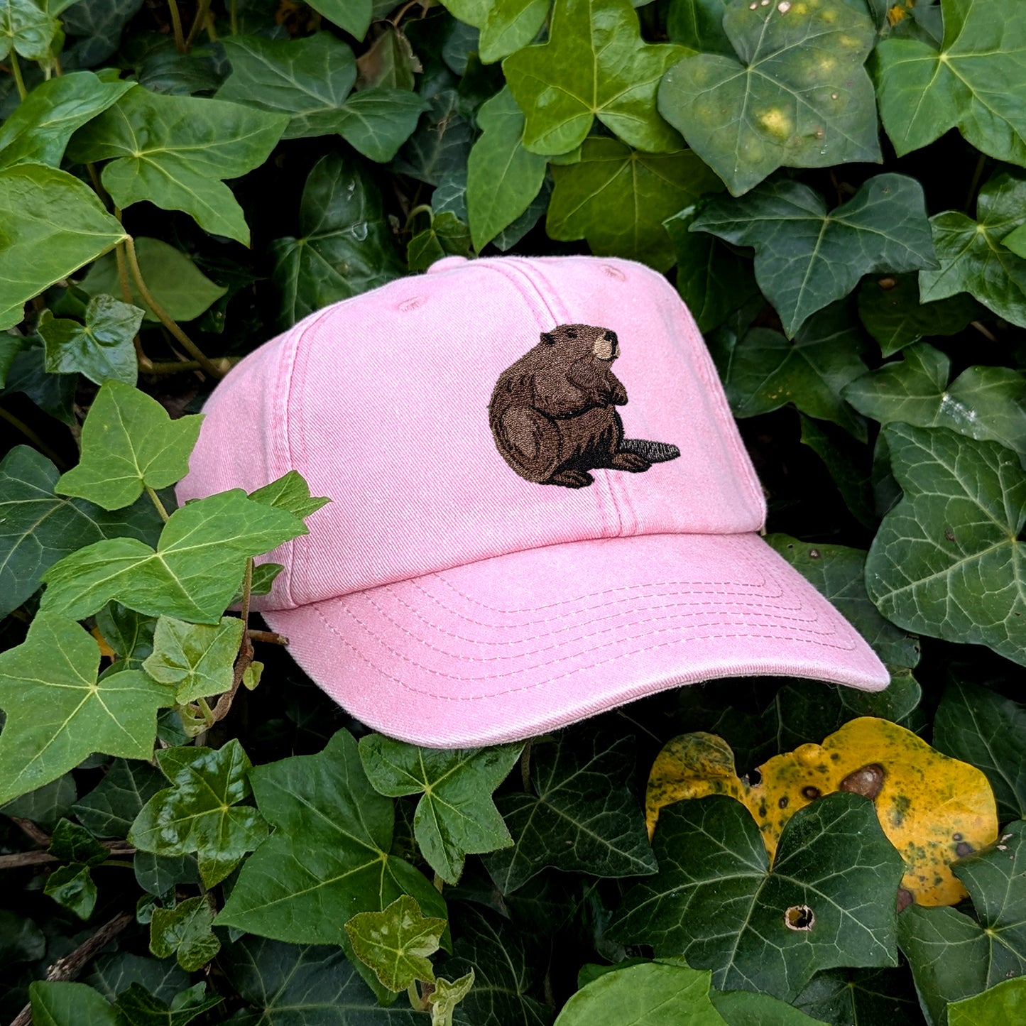 Beaver Embroidered Baseball Cap