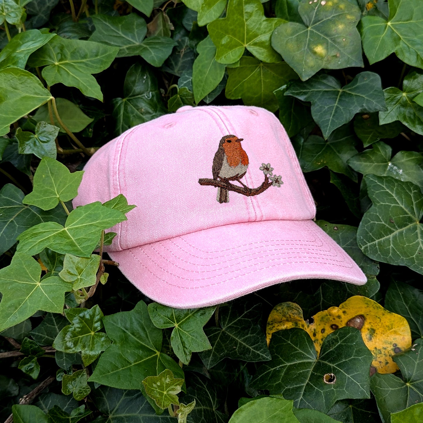 Robin Embroidered Baseball Cap