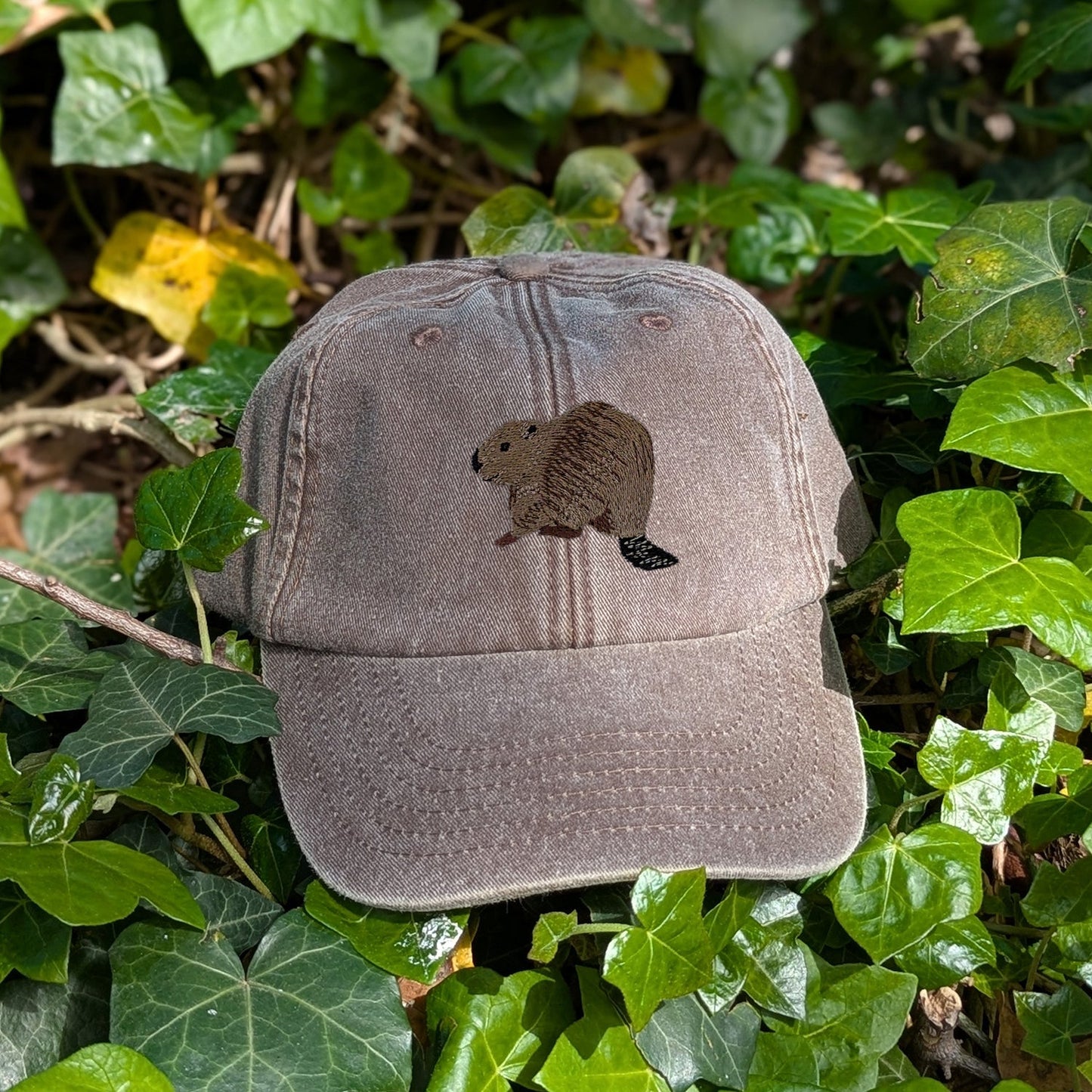 Beaver Riverside Embroidered Baseball Cap
