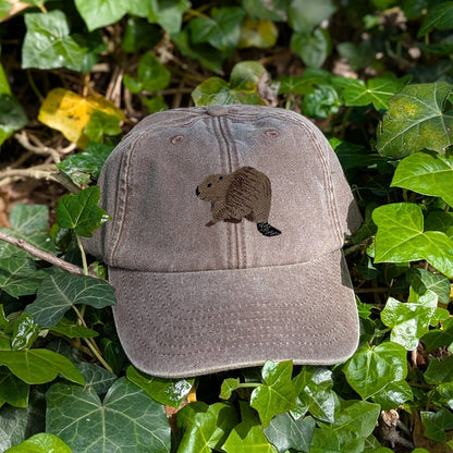 Beaver Riverside Embroidered Baseball Cap