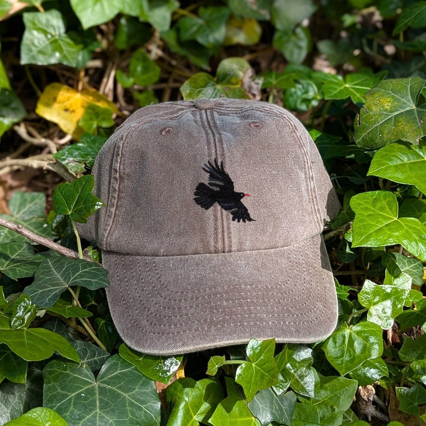Chough Embroidered Baseball Cap