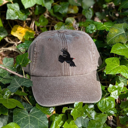 Chough Embroidered Baseball Cap