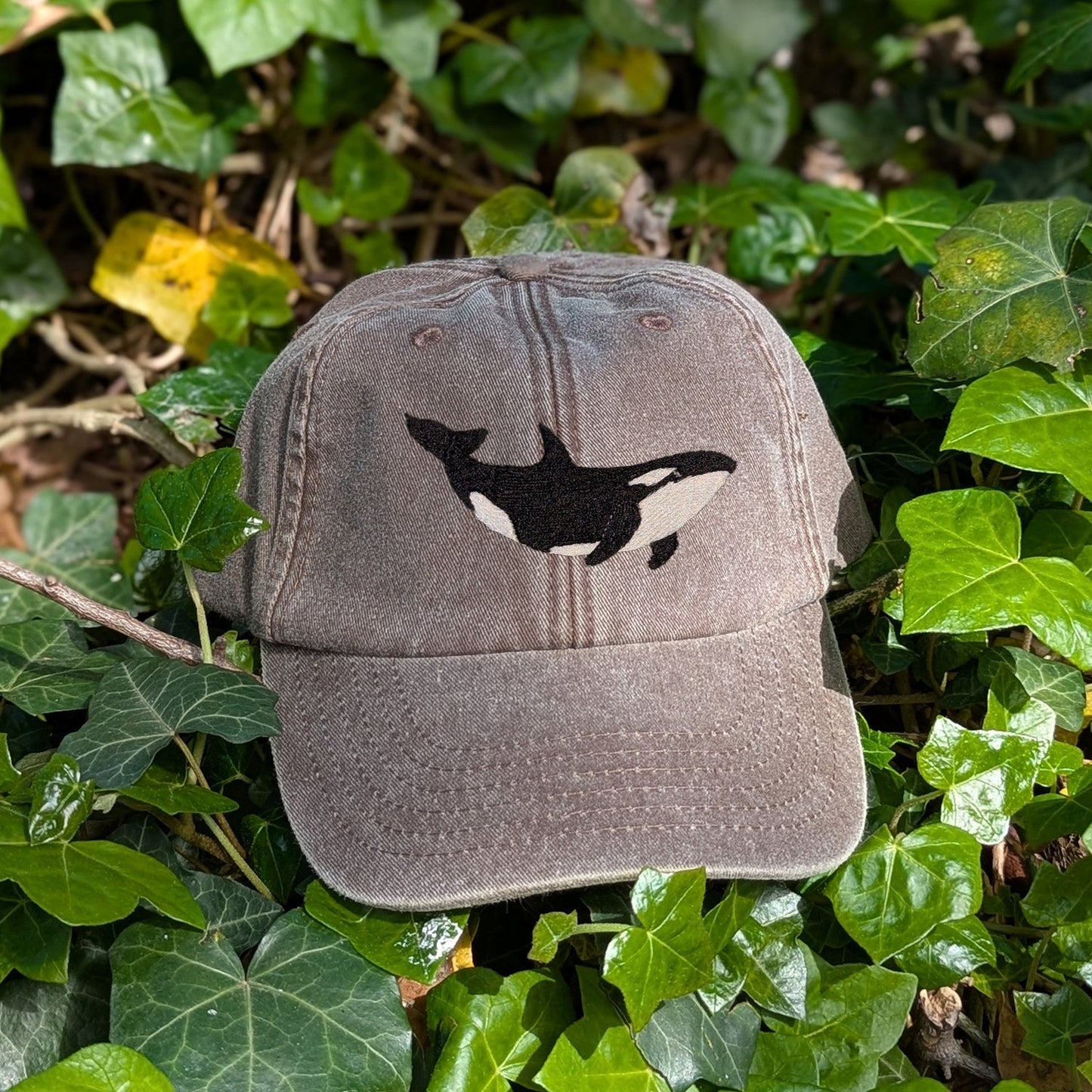 Orca Embroidered Baseball Cap