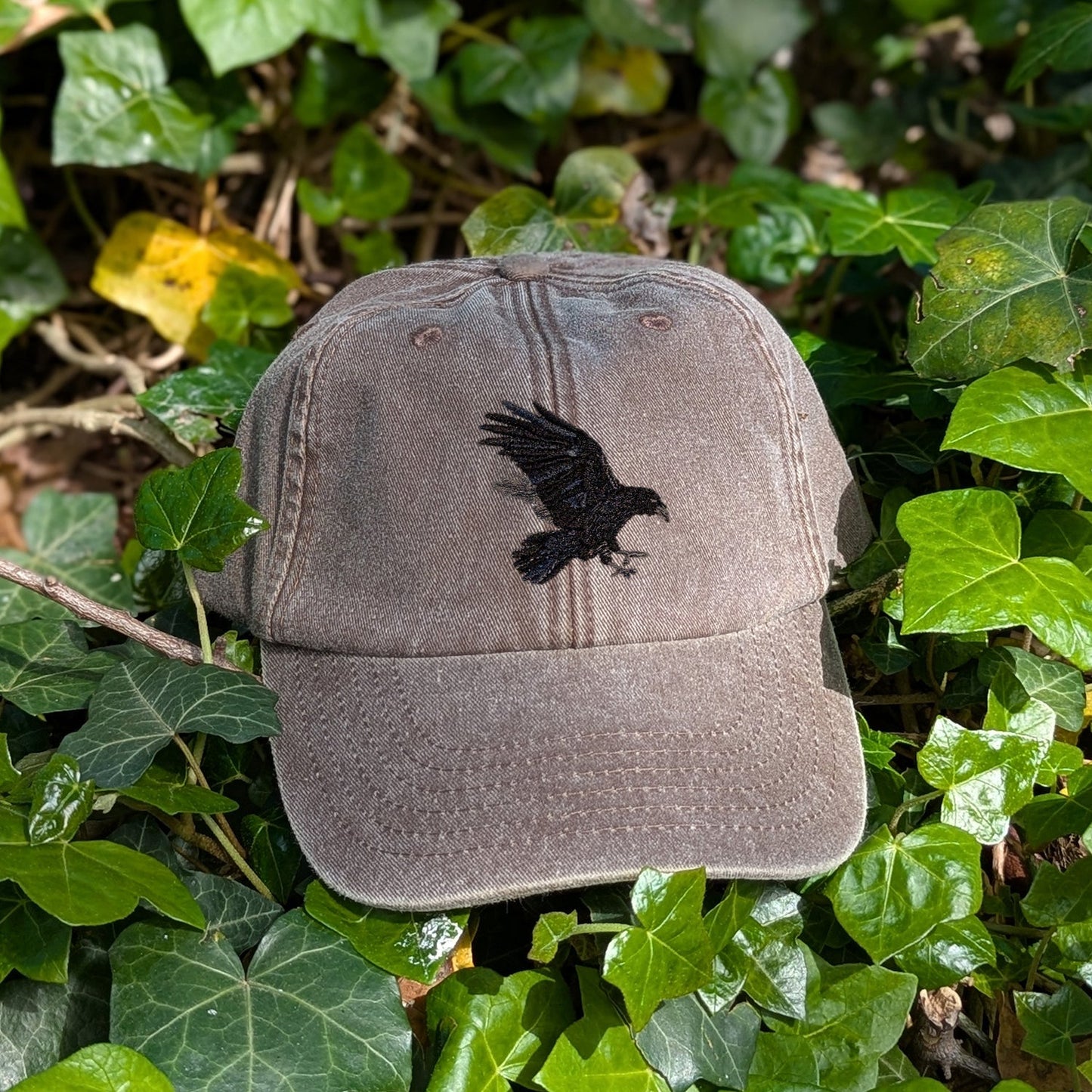 Raven Embroidered Baseball Cap