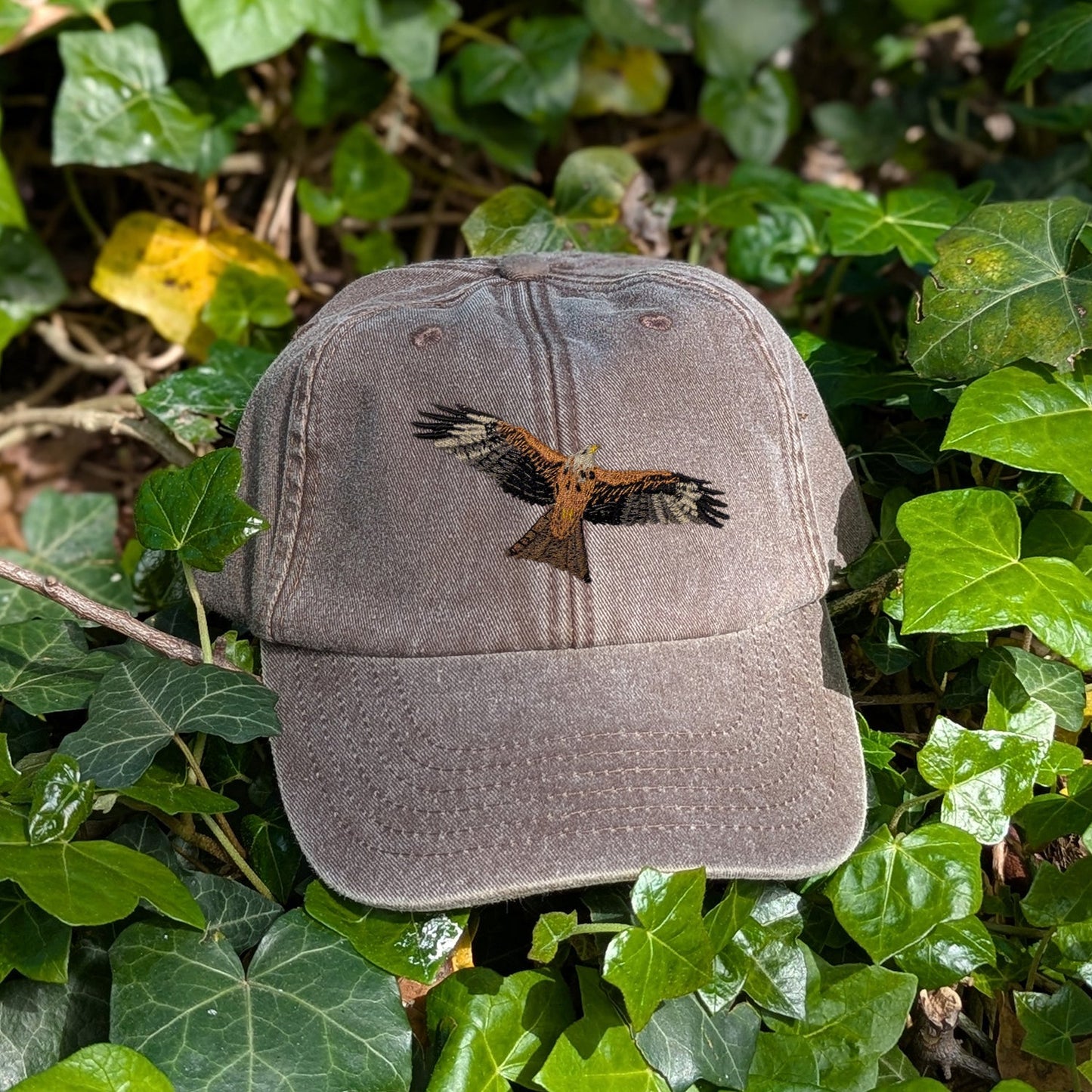 Red Kite Embroidered Baseball Cap