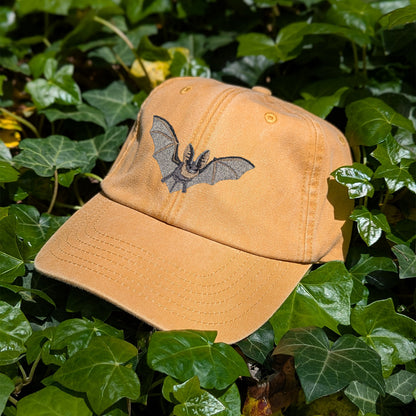 Grey Long-Eared Bat Embroidered Baseball Cap