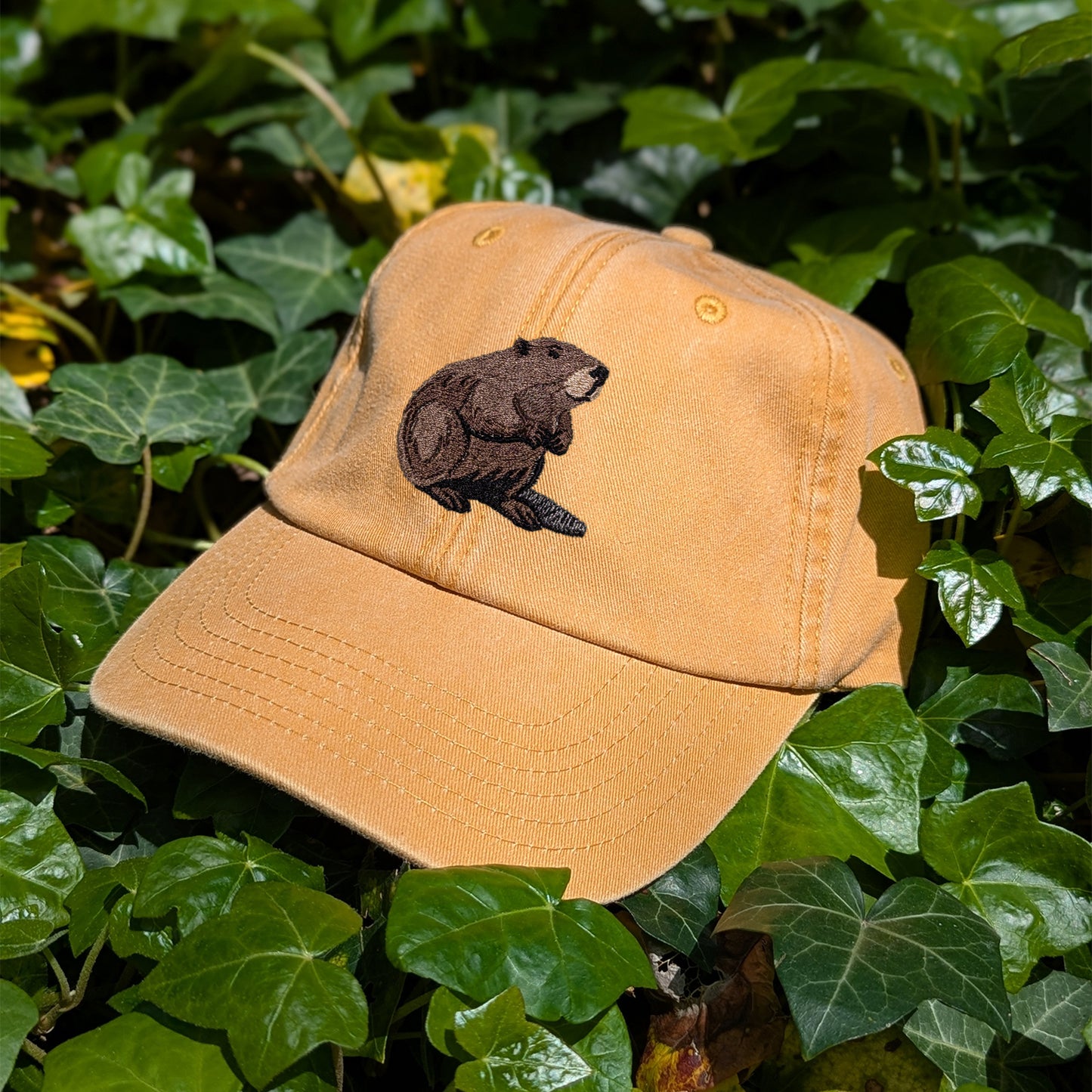 Beaver Embroidered Baseball Cap