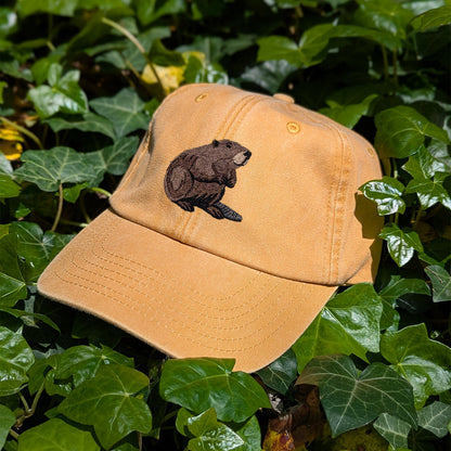 Beaver Embroidered Baseball Cap