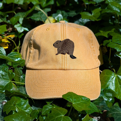 Beaver Riverside Embroidered Baseball Cap