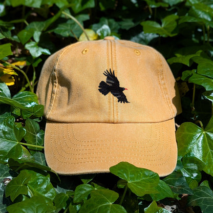 Chough Embroidered Baseball Cap