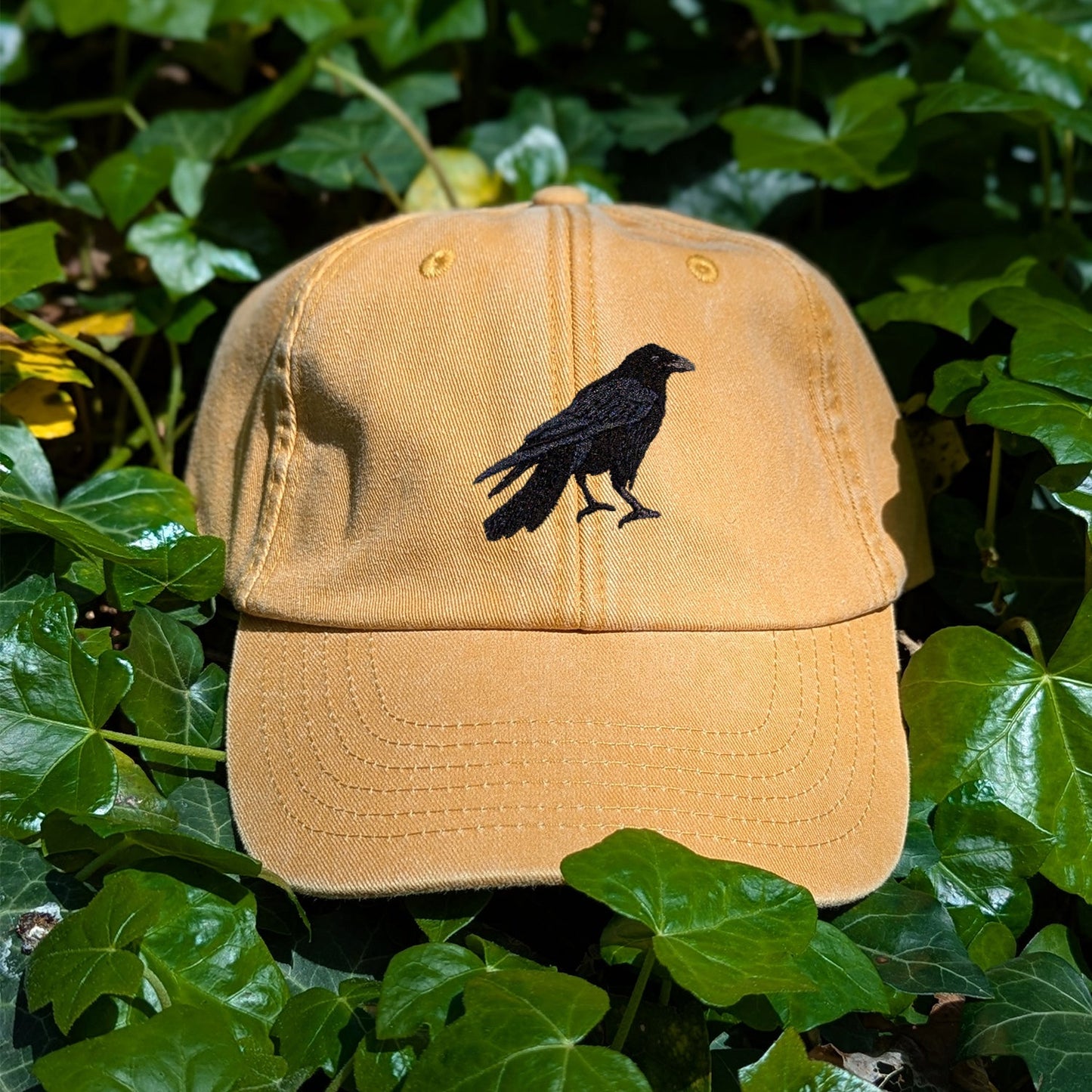 Crow Embroidered Baseball Cap