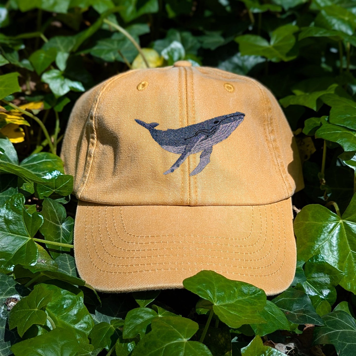 Humpback Whale Embroidered Baseball Cap
