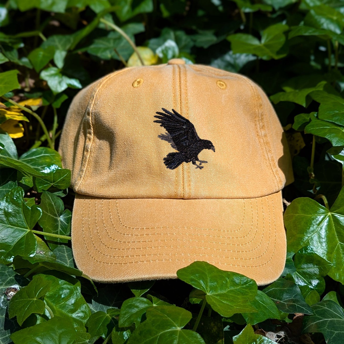 Raven Embroidered Baseball Cap