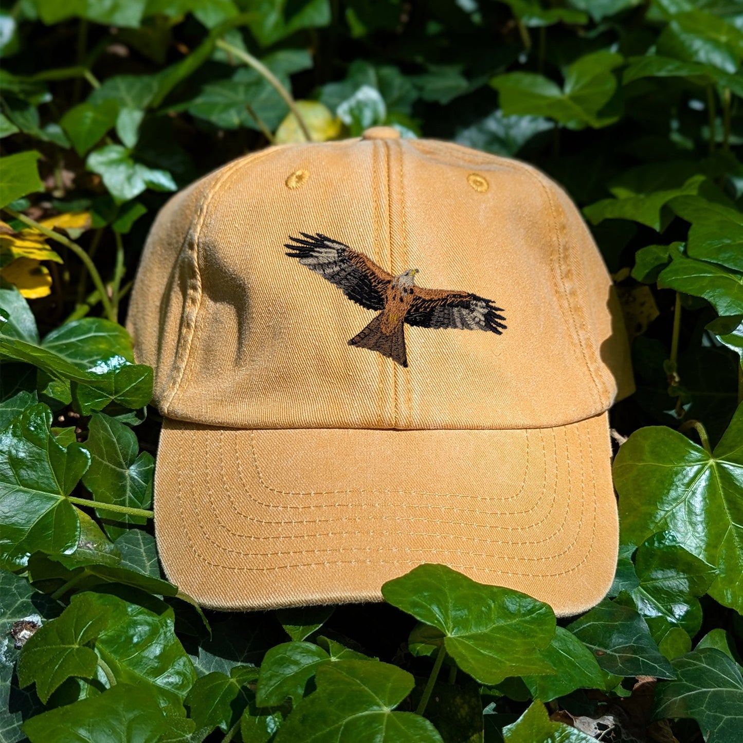 Red Kite Embroidered Baseball Cap