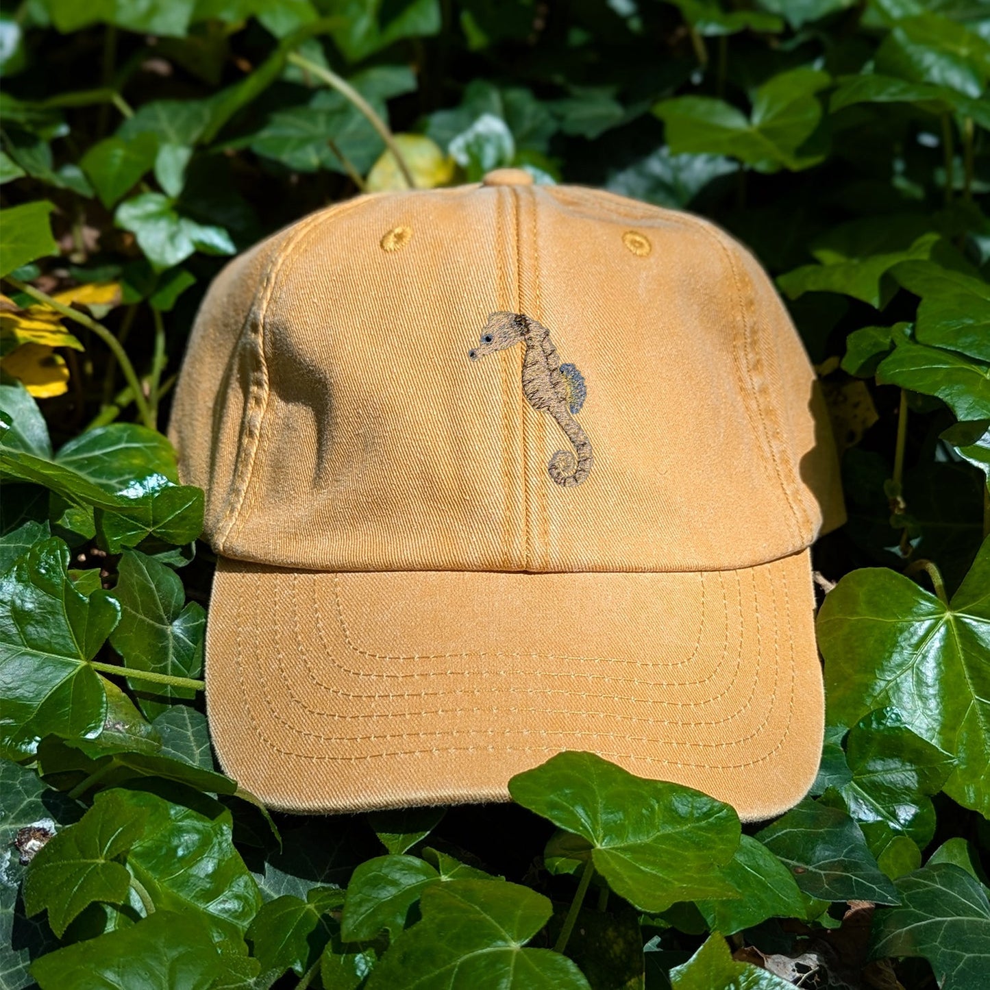 Seahorse Embroidered Baseball Cap