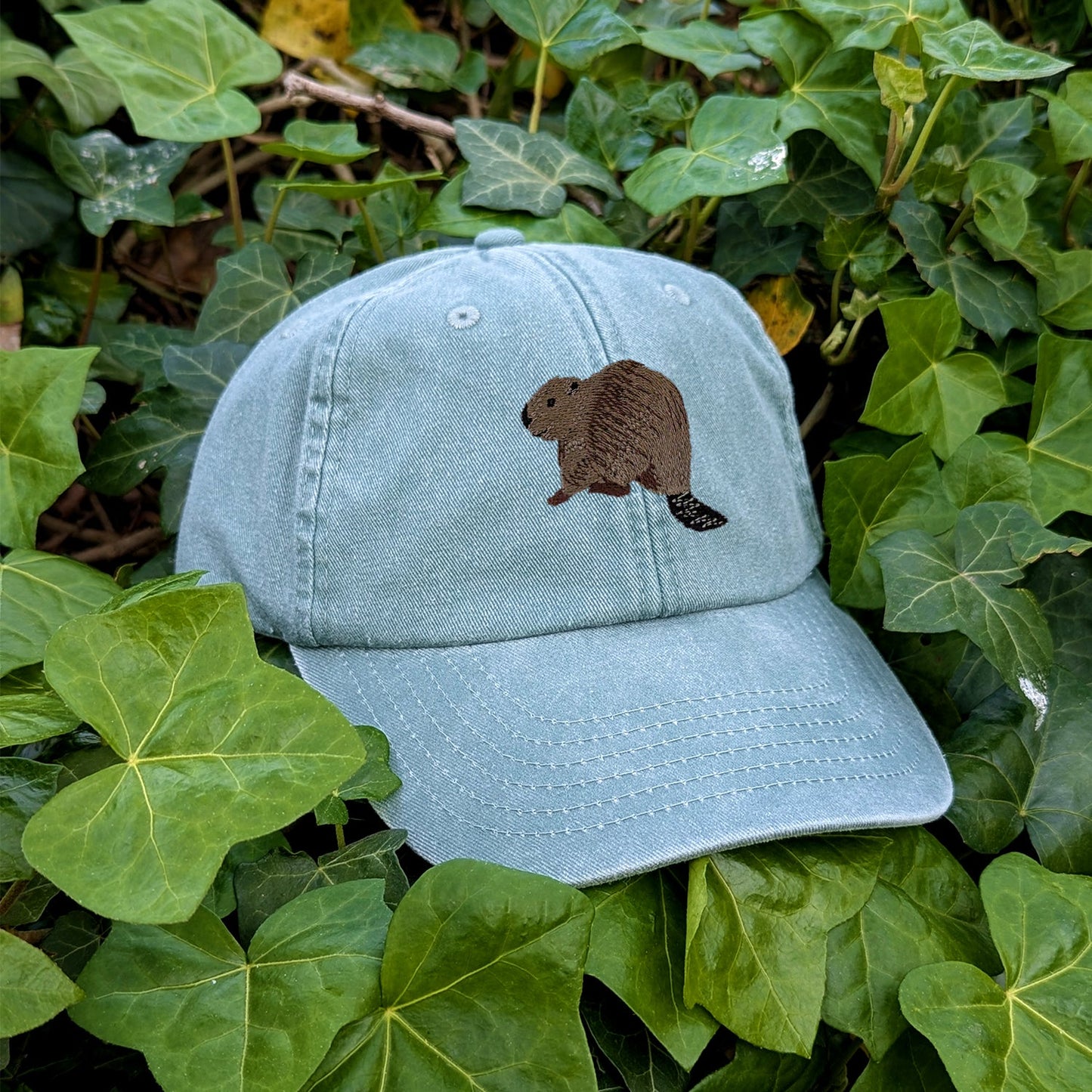 Beaver Riverside Embroidered Baseball Cap