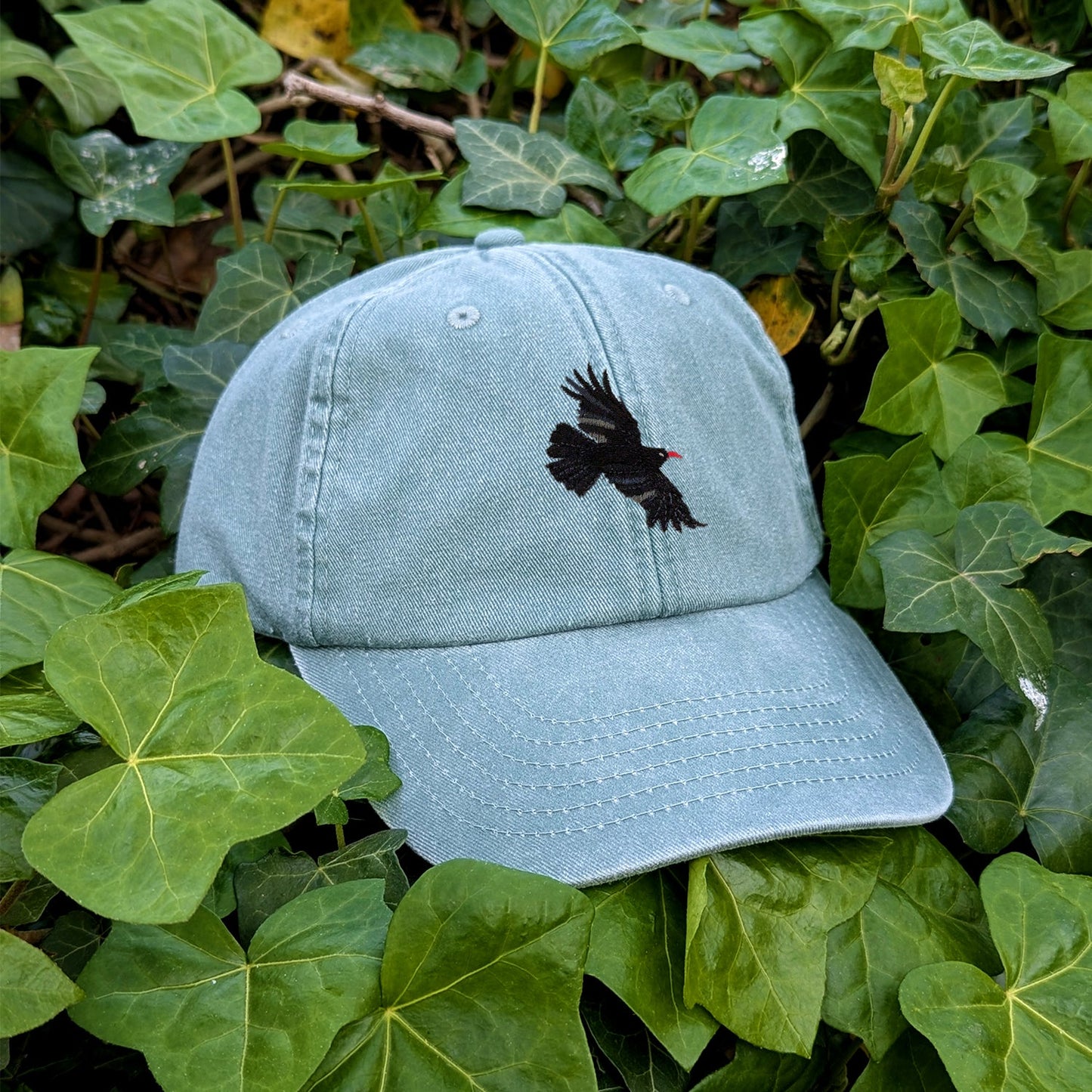 Chough Embroidered Baseball Cap