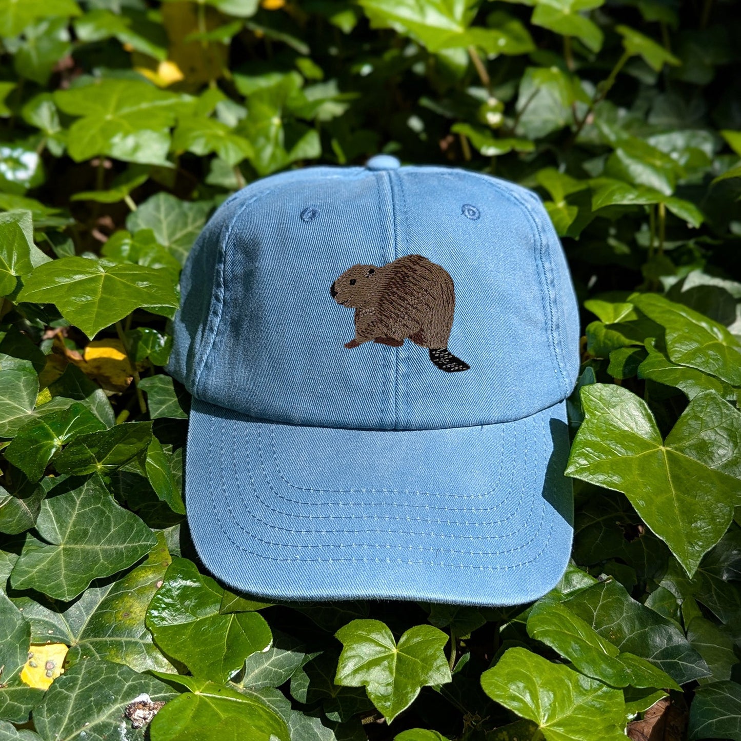 Beaver Riverside Embroidered Baseball Cap