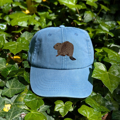 Beaver Riverside Embroidered Baseball Cap