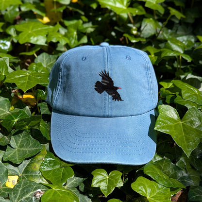 Chough Embroidered Baseball Cap
