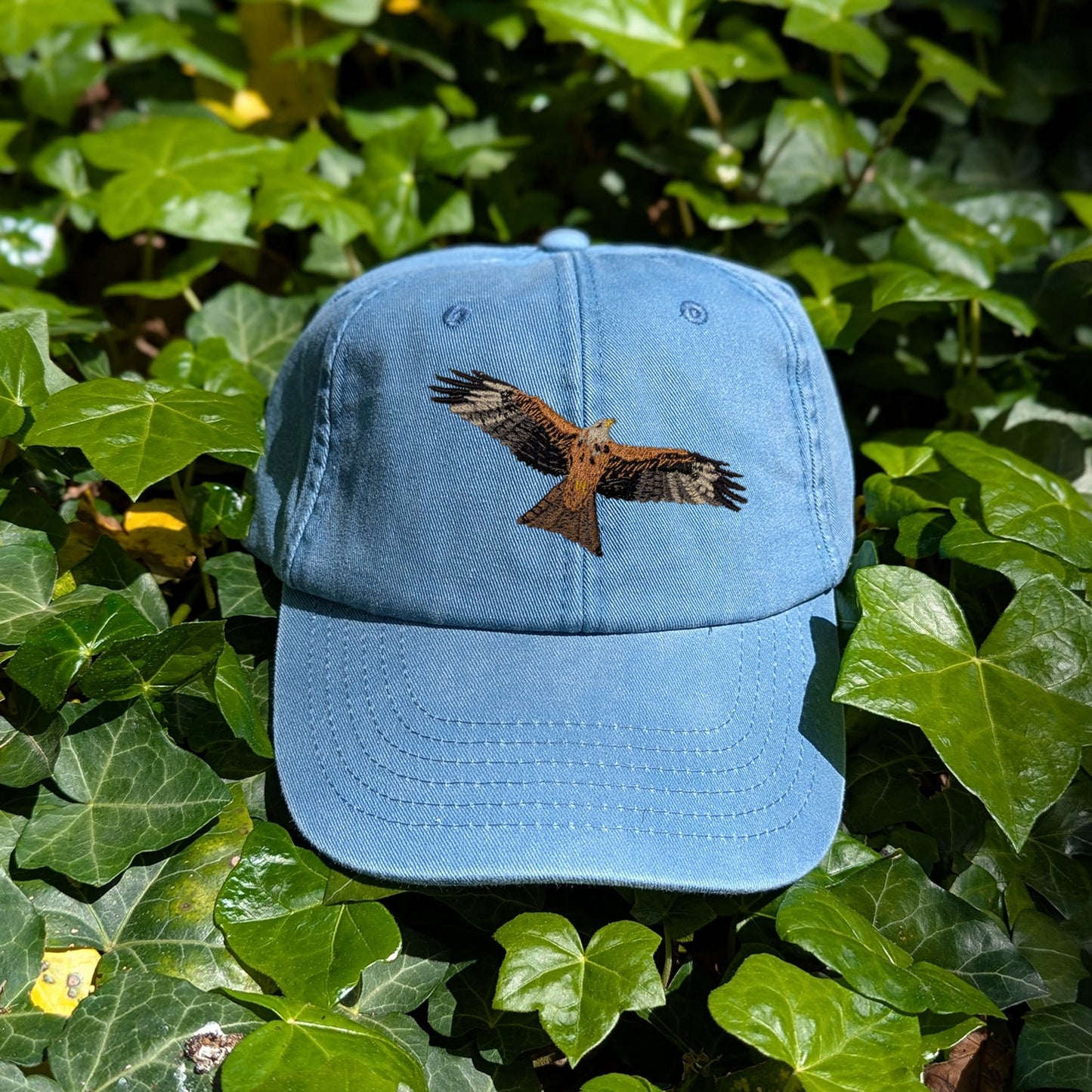 Red Kite Embroidered Baseball Cap