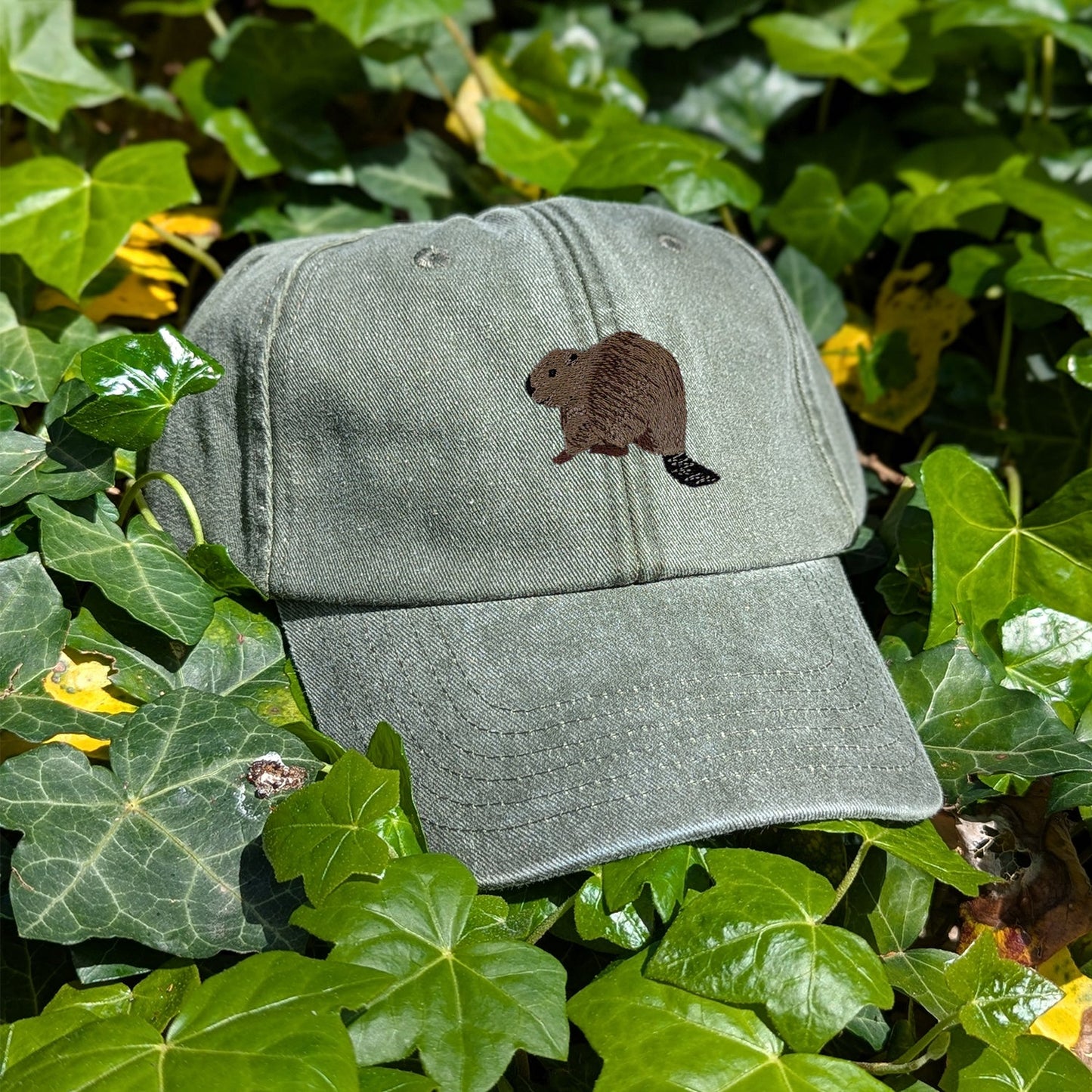 Beaver Riverside Embroidered Baseball Cap