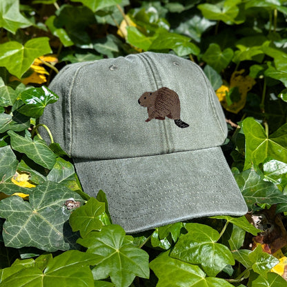Beaver Riverside Embroidered Baseball Cap