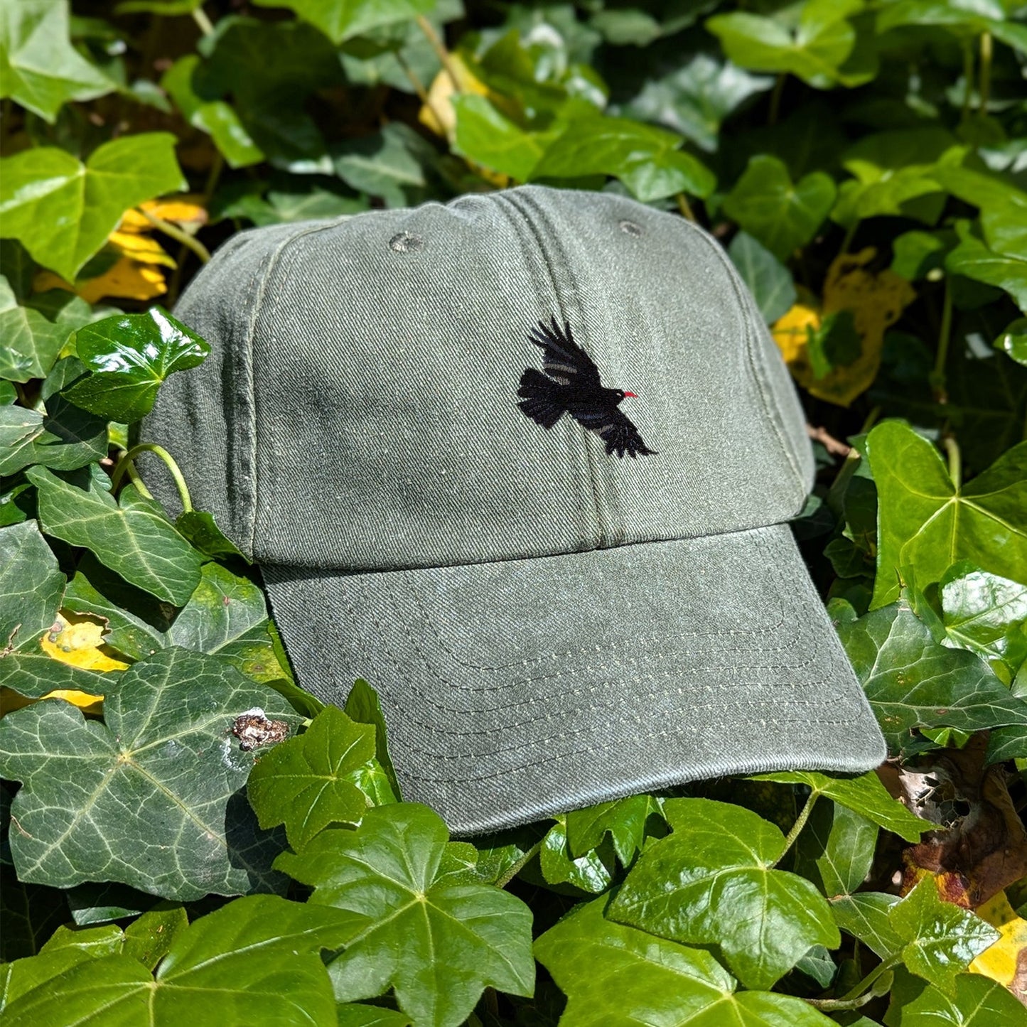 Chough Embroidered Baseball Cap