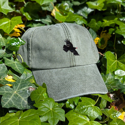 Chough Embroidered Baseball Cap