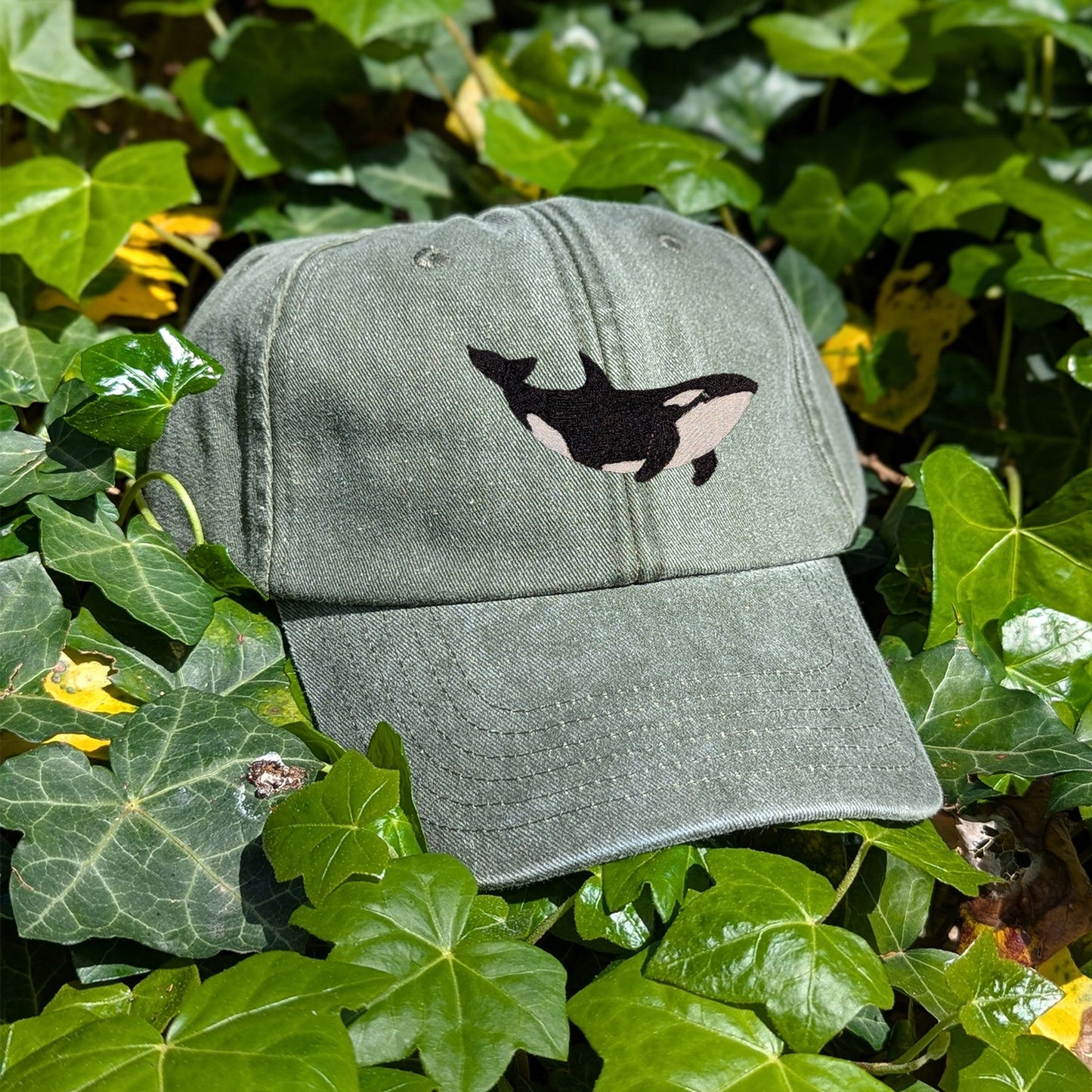 Orca Embroidered Baseball Cap