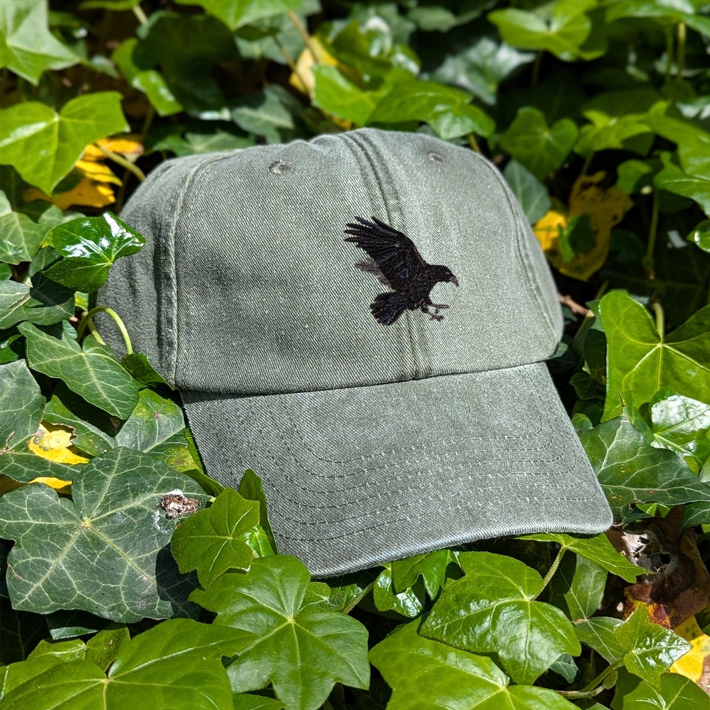 Raven Embroidered Baseball Cap