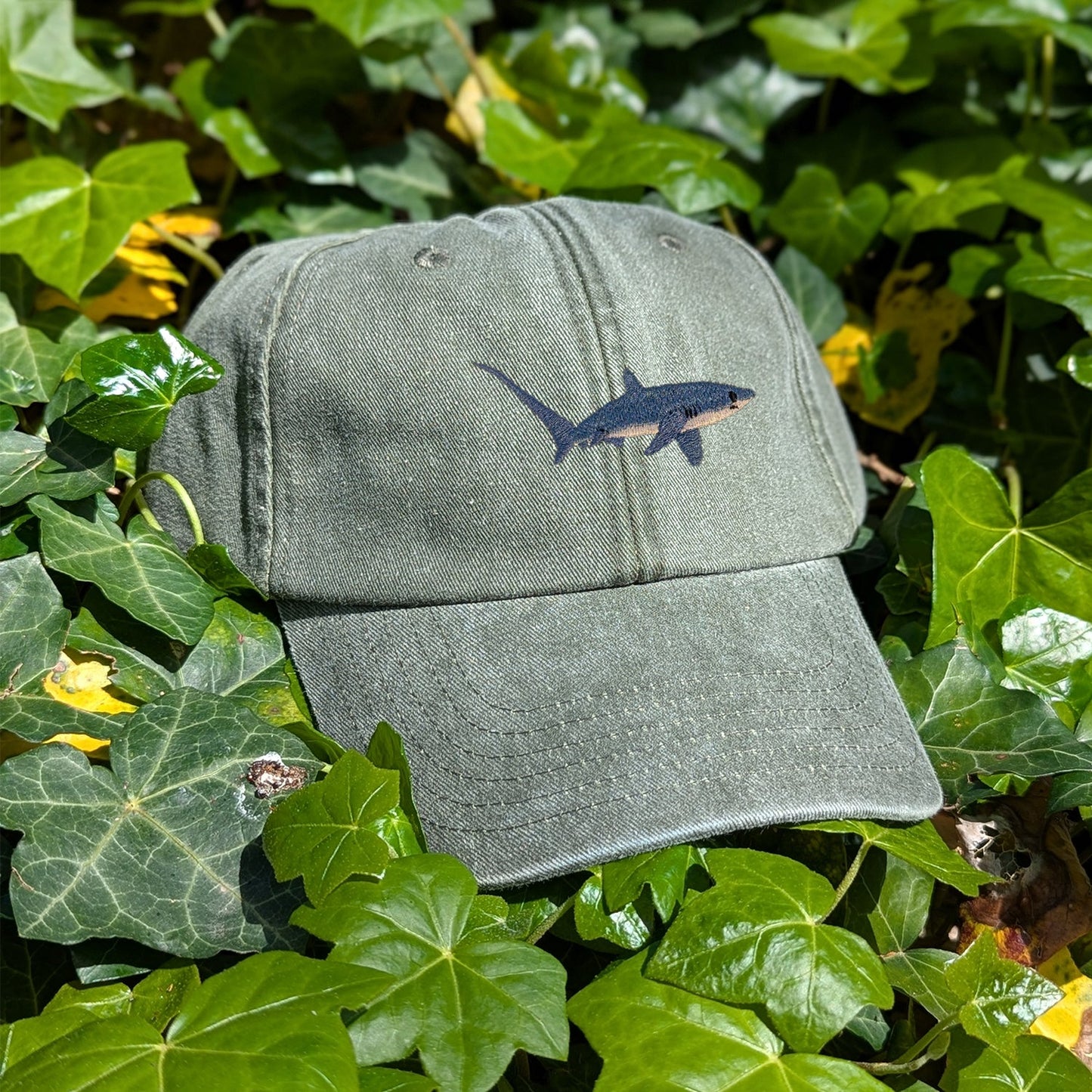 Thresher Shark Embroidered Baseball Cap