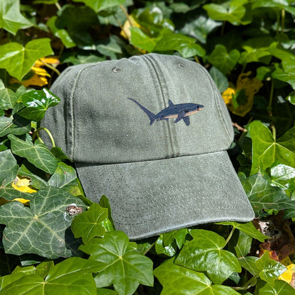 Thresher Shark Embroidered Baseball Cap