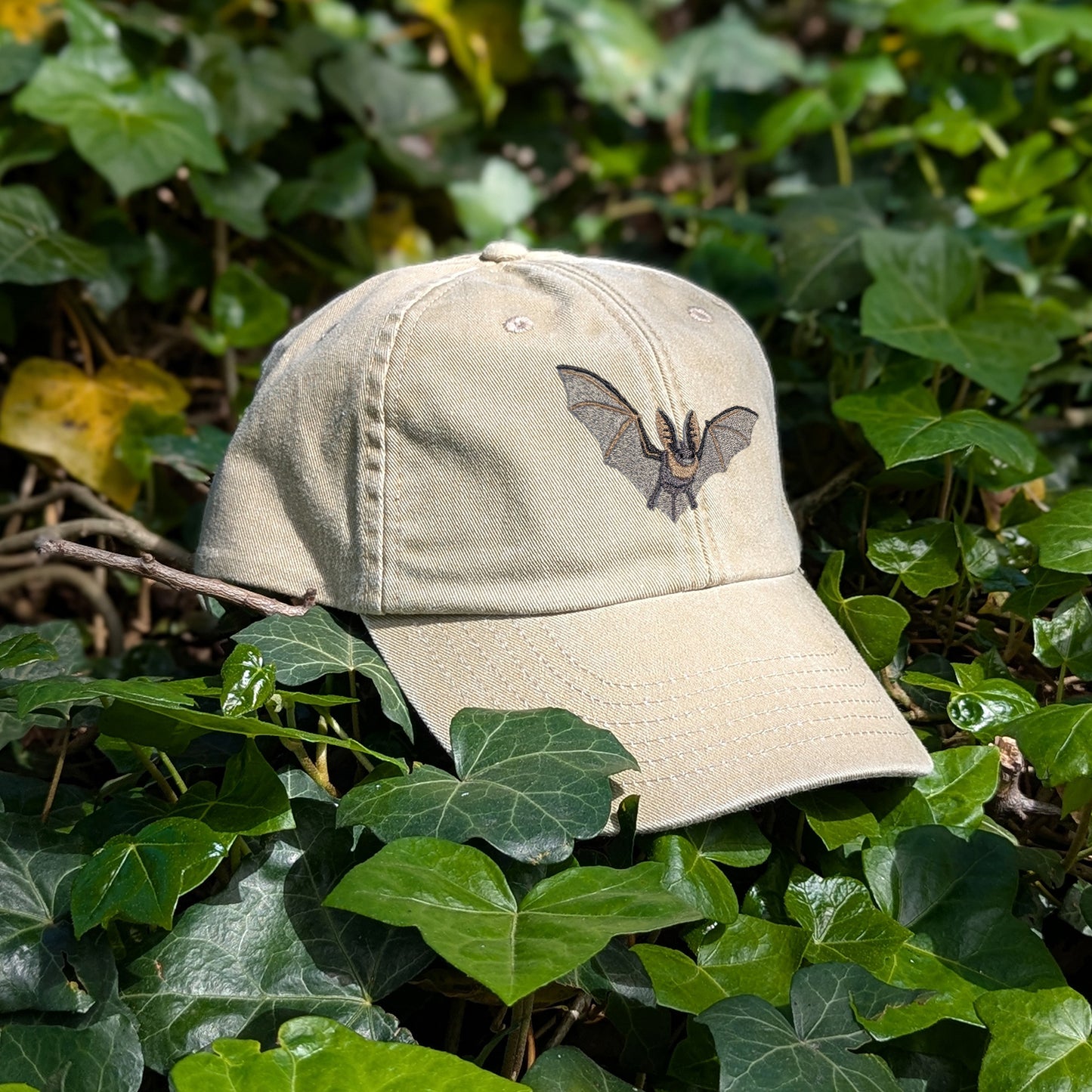 Grey Long-Eared Bat Embroidered Baseball Cap