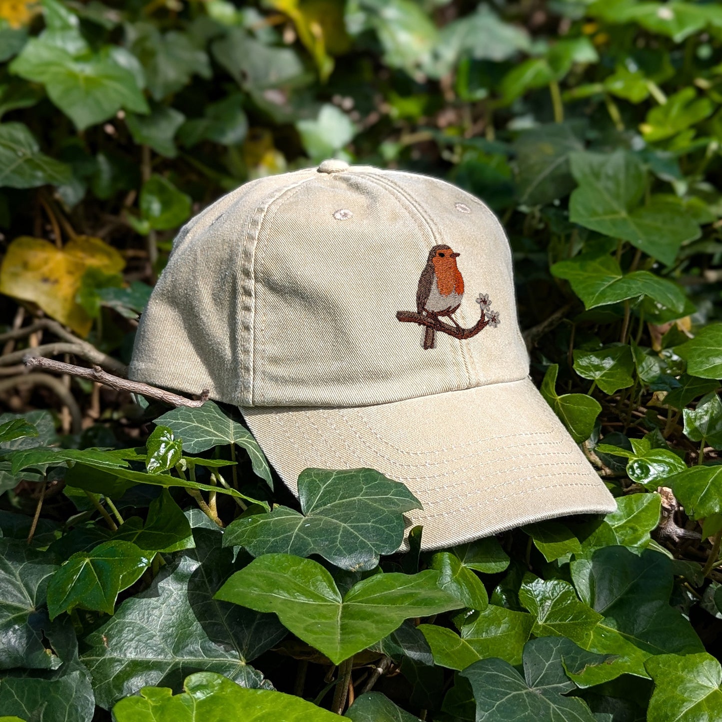 Robin Embroidered Baseball Cap