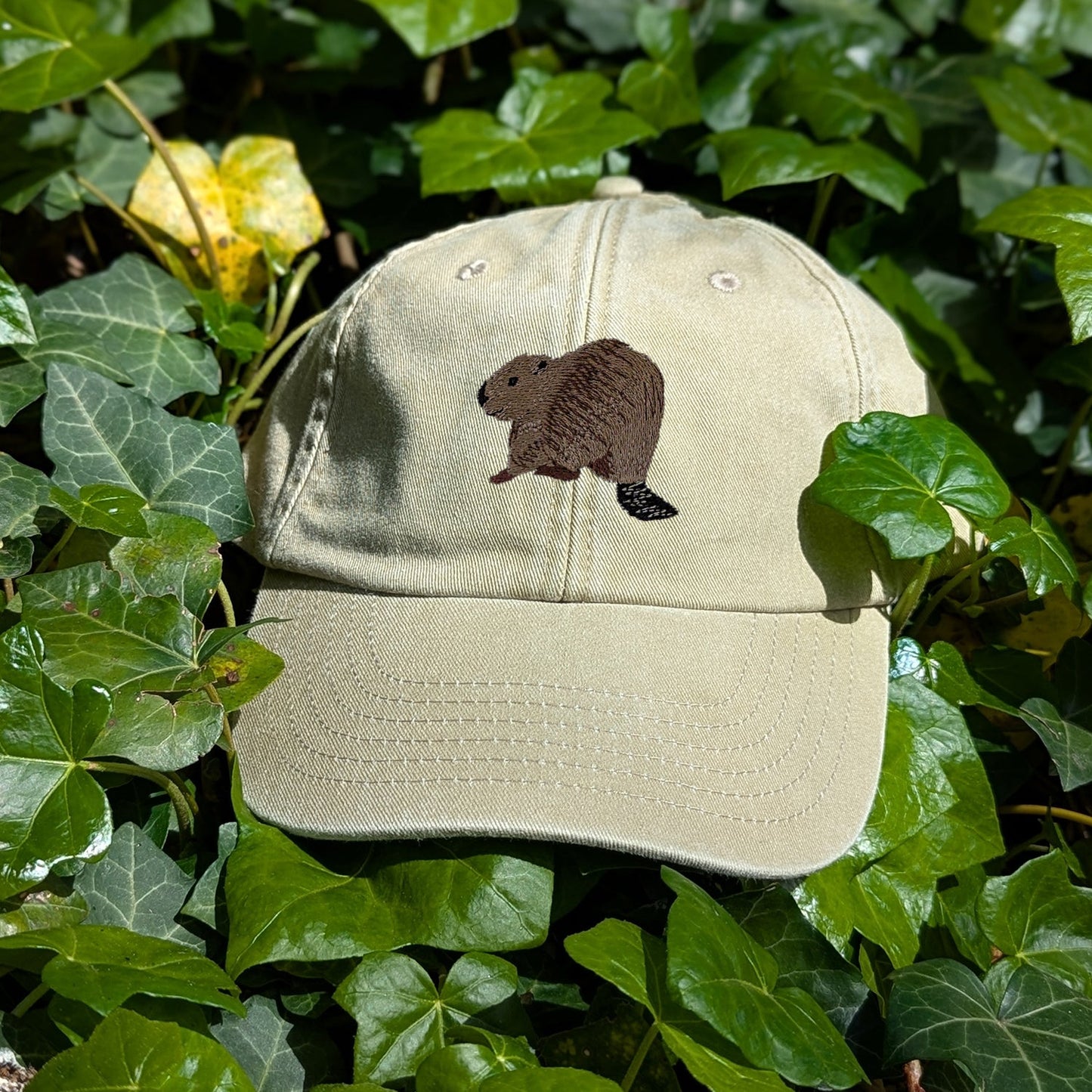 Beaver Riverside Embroidered Baseball Cap