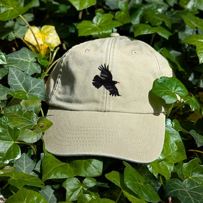 Chough Embroidered Baseball Cap