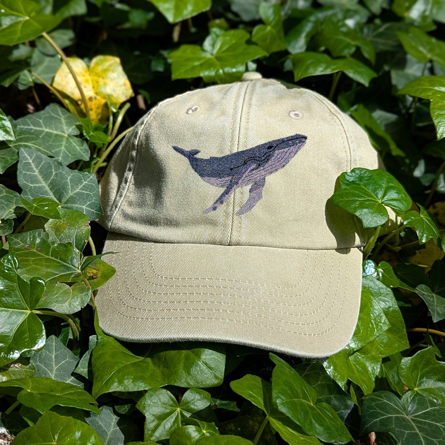 Humpback Whale Embroidered Baseball Cap