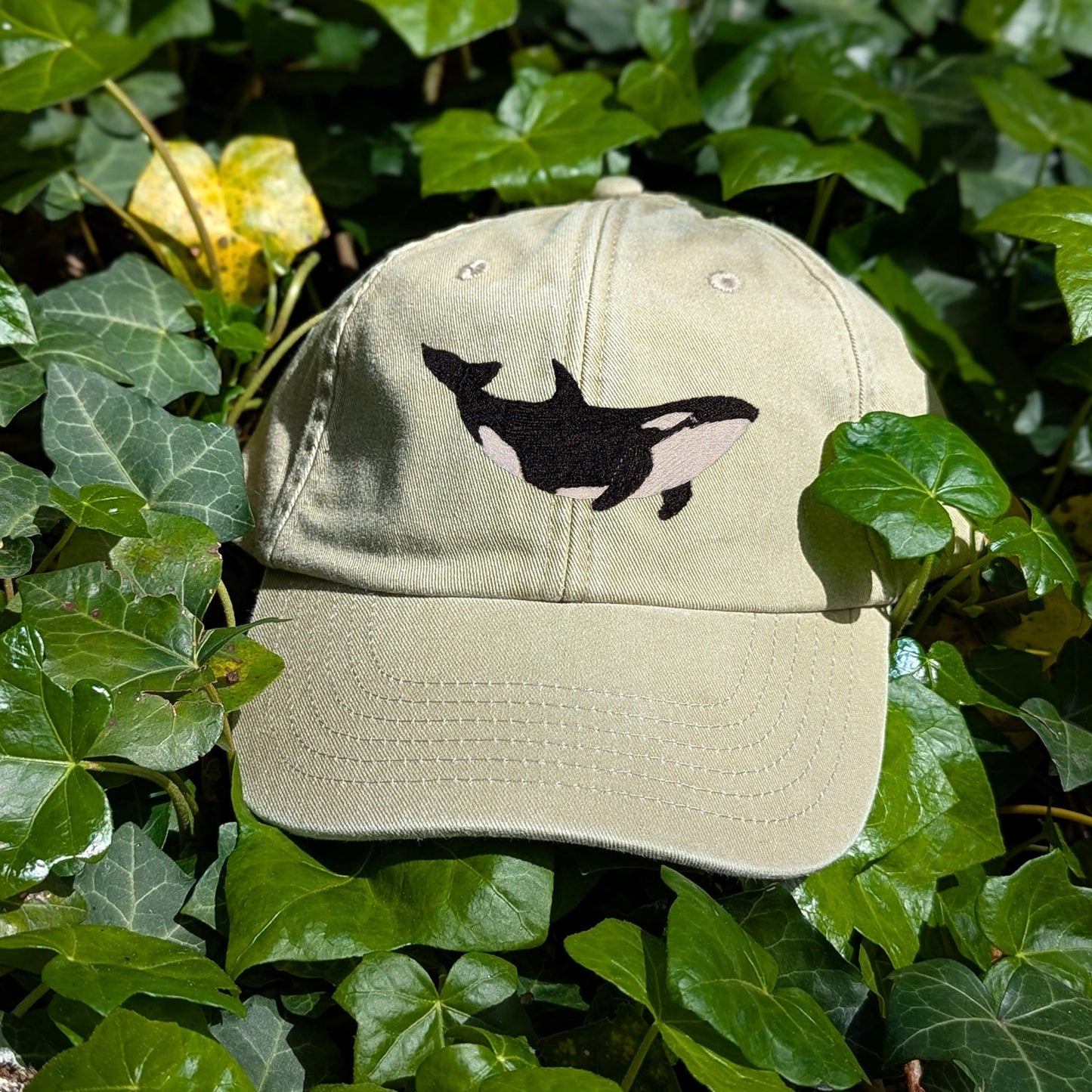 Orca Embroidered Baseball Cap