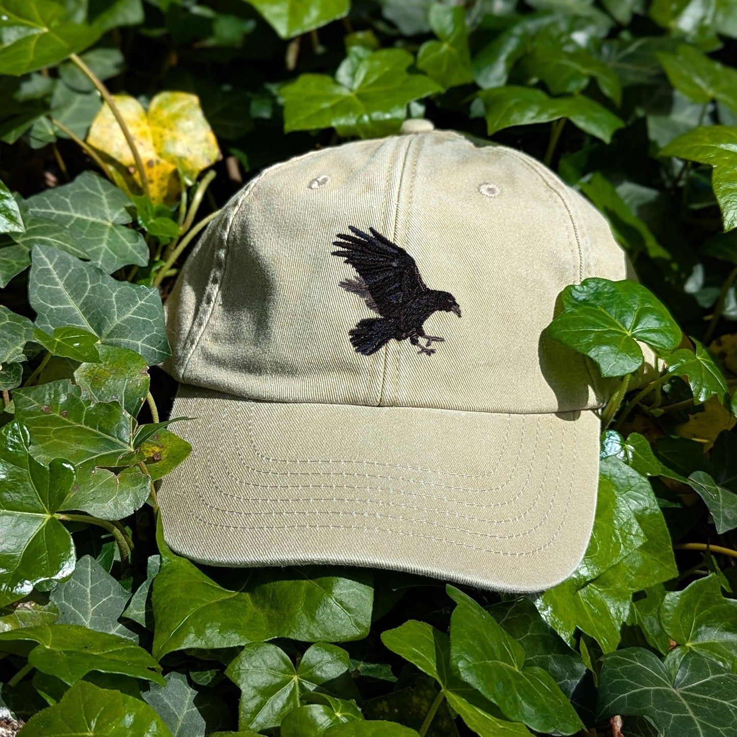 Raven Embroidered Baseball Cap