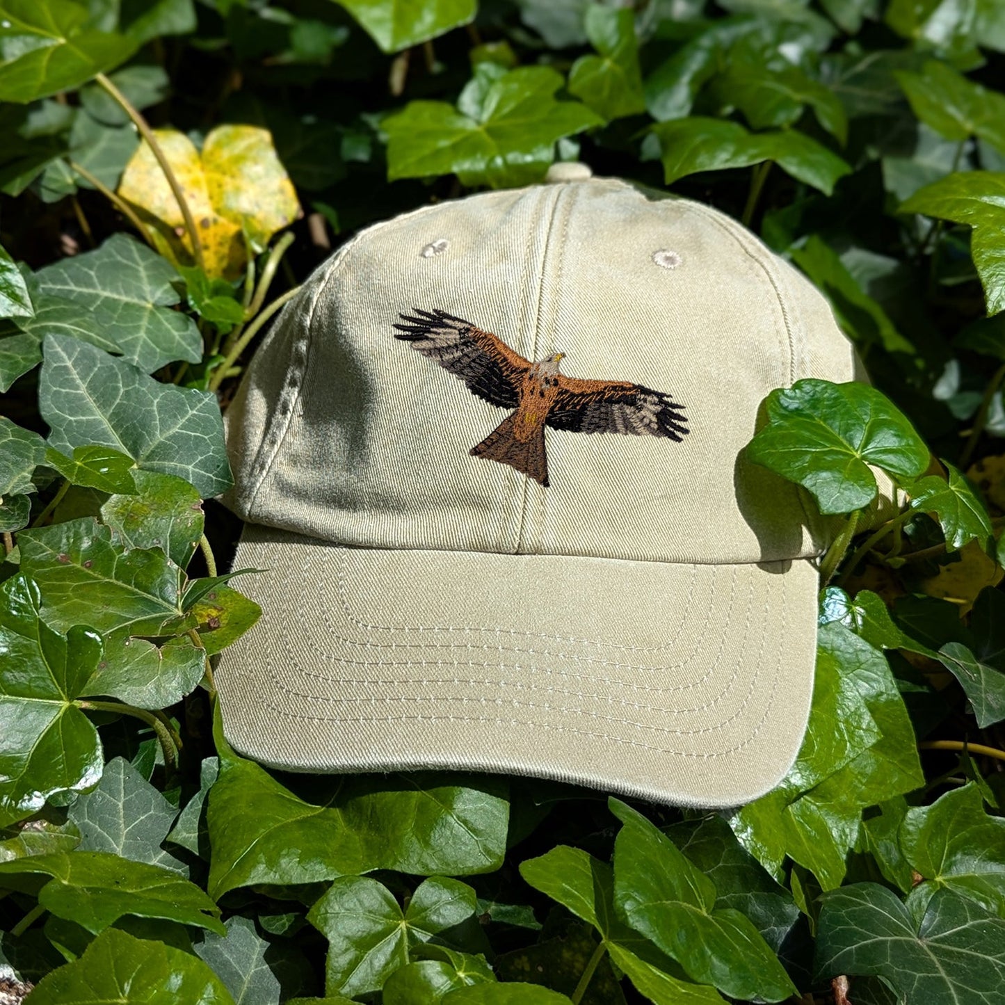 Red Kite Embroidered Baseball Cap
