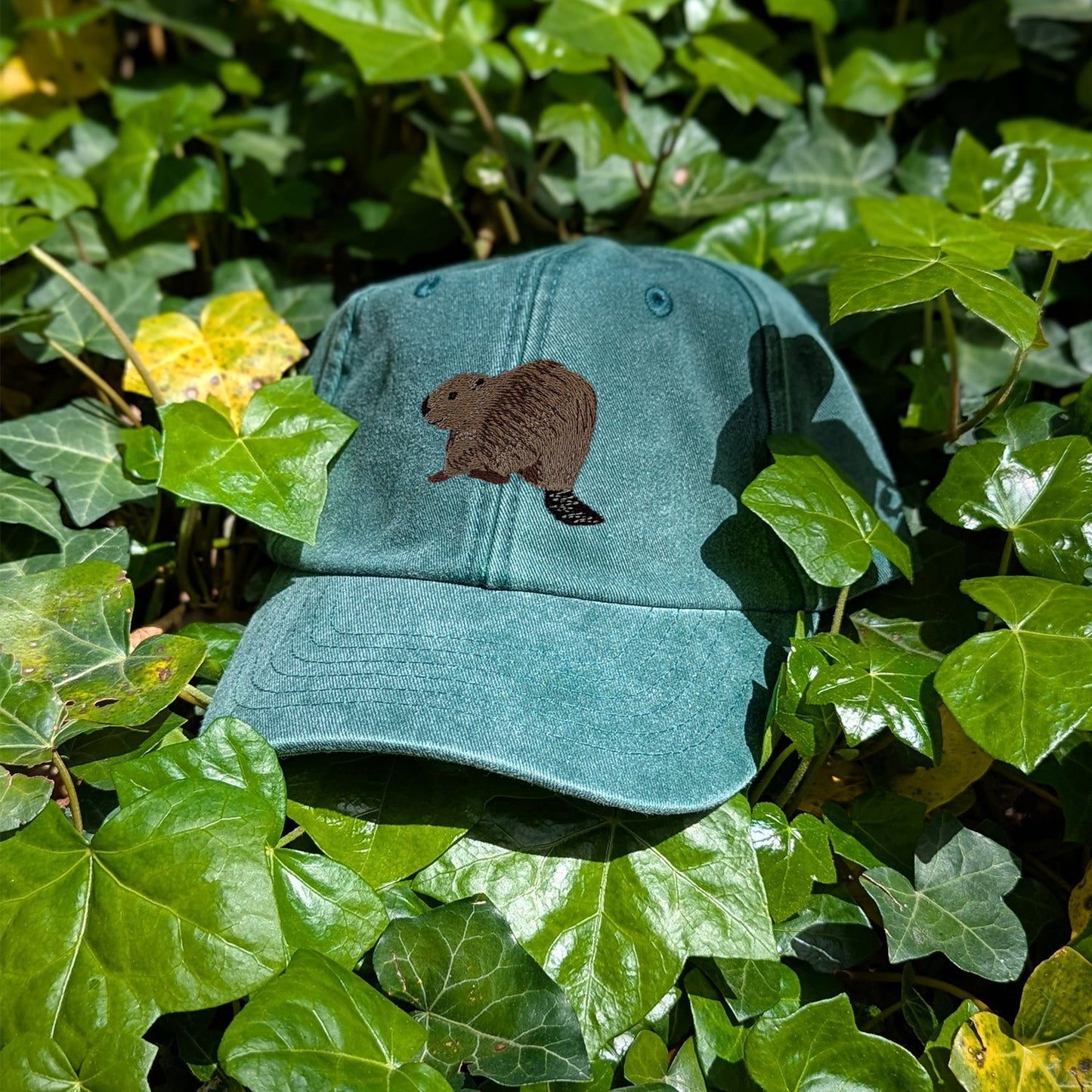 Beaver Riverside Embroidered Baseball Cap