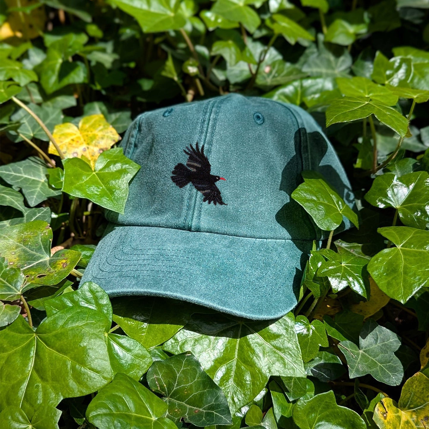 Chough Embroidered Baseball Cap