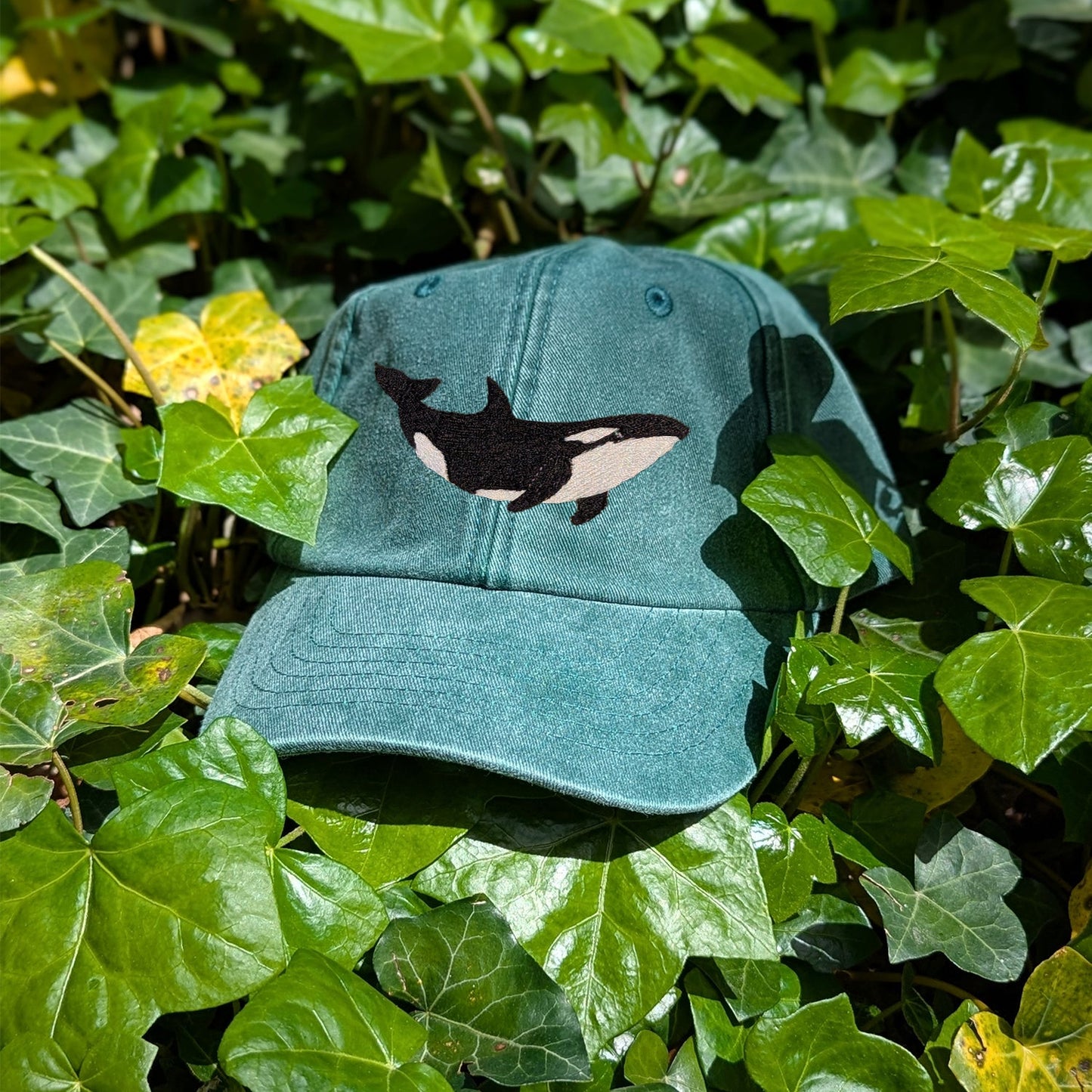 Orca Embroidered Baseball Cap