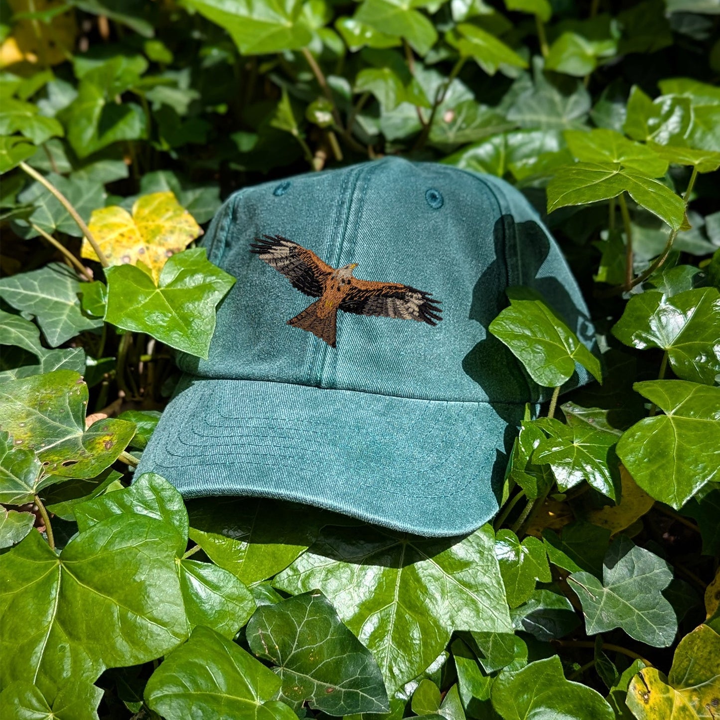 Red Kite Embroidered Baseball Cap