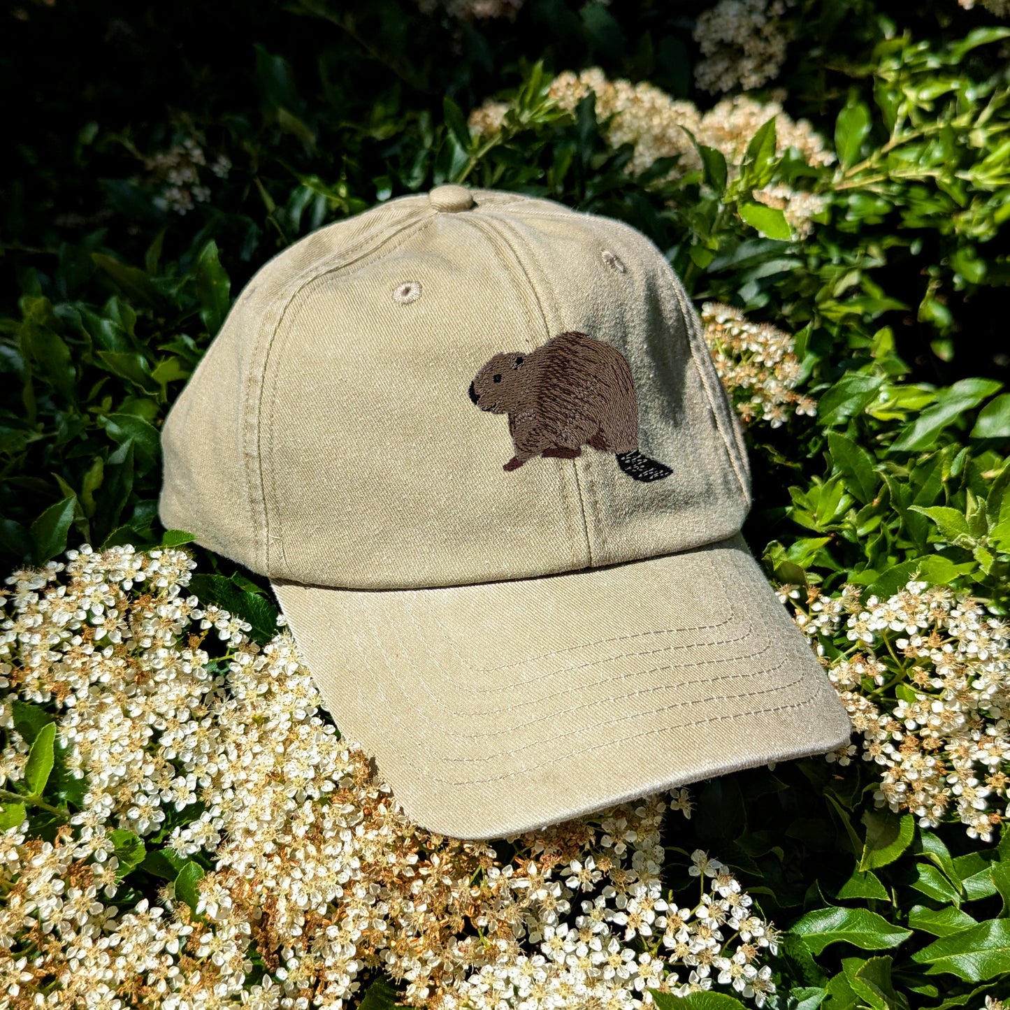 Beaver Riverside Embroidered Baseball Cap