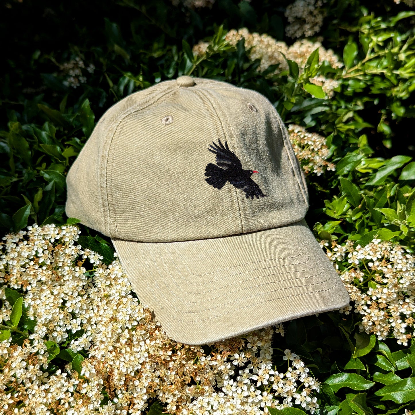 Chough Embroidered Baseball Cap
